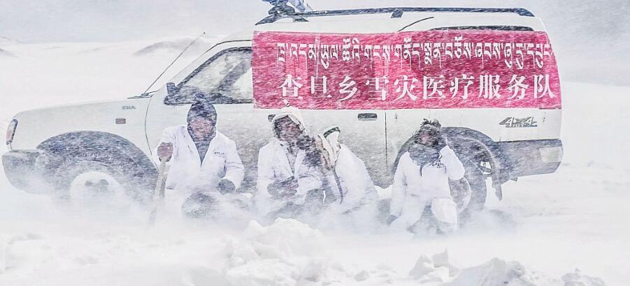 健康蓬勃的朝气与活力,健康玉树最新信息