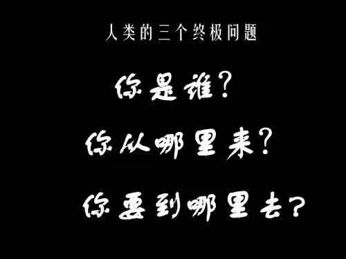 忙是治疗一切神经病的良药啥意思,忙是治疗一切神经病的良药朋友圈
