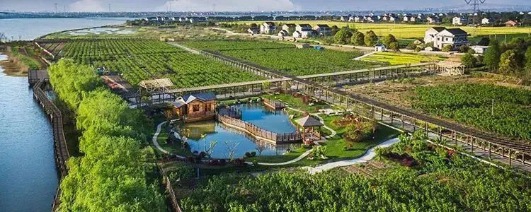 夏季最凉快桑蚕丝,桑蚕丝适合夏季