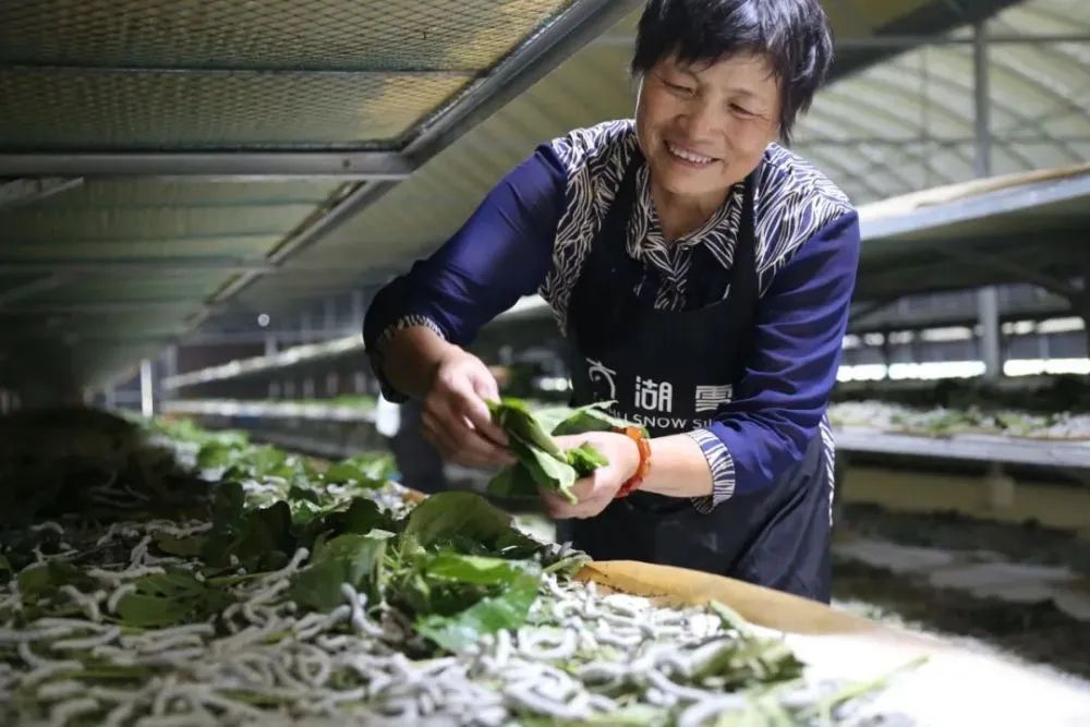 夏季最凉快桑蚕丝,桑蚕丝适合夏季