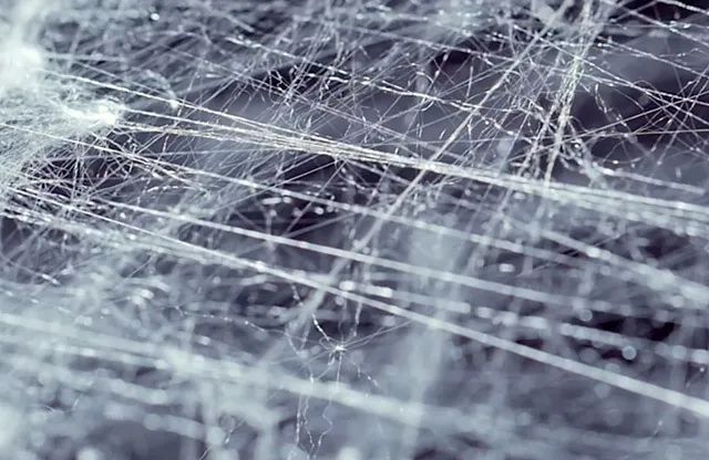 夏季最凉快桑蚕丝,桑蚕丝适合夏季