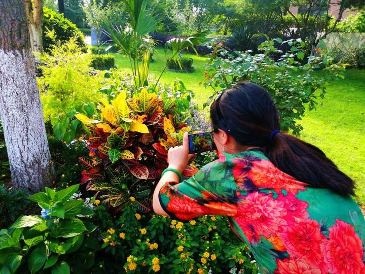 以前开窗是垃圾，现在空气都是甜的，杭州金地自在城多了个漂亮的小花园