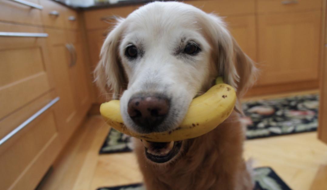 老人热天用什么尿不湿,天热了晚上穿尿不湿有什么好办法