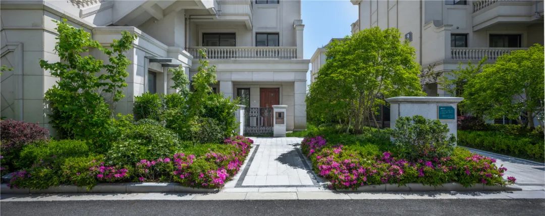 缁垮湴澶箹涓滃哺涓紡杞诲ア,娌胯涓浗浼犵粺閫犲洯鐞嗗康