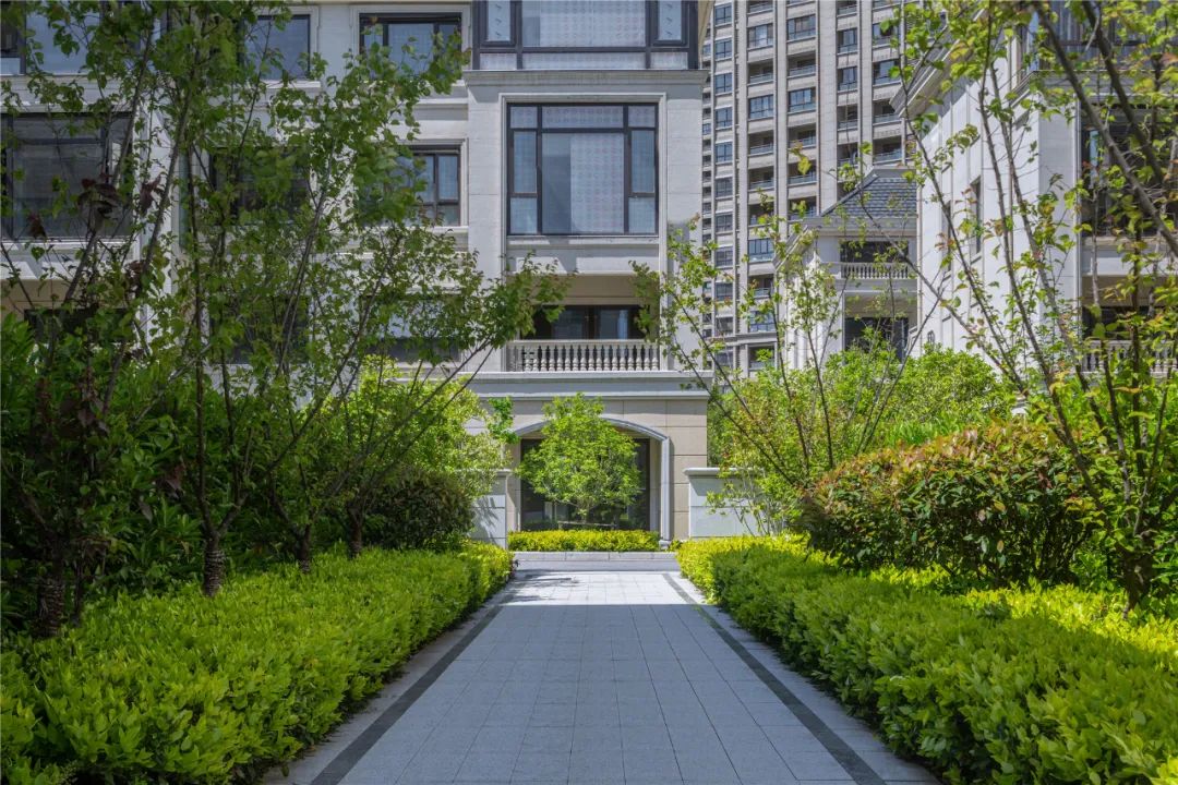 缁垮湴澶箹涓滃哺涓紡杞诲ア,娌胯涓浗浼犵粺閫犲洯鐞嗗康