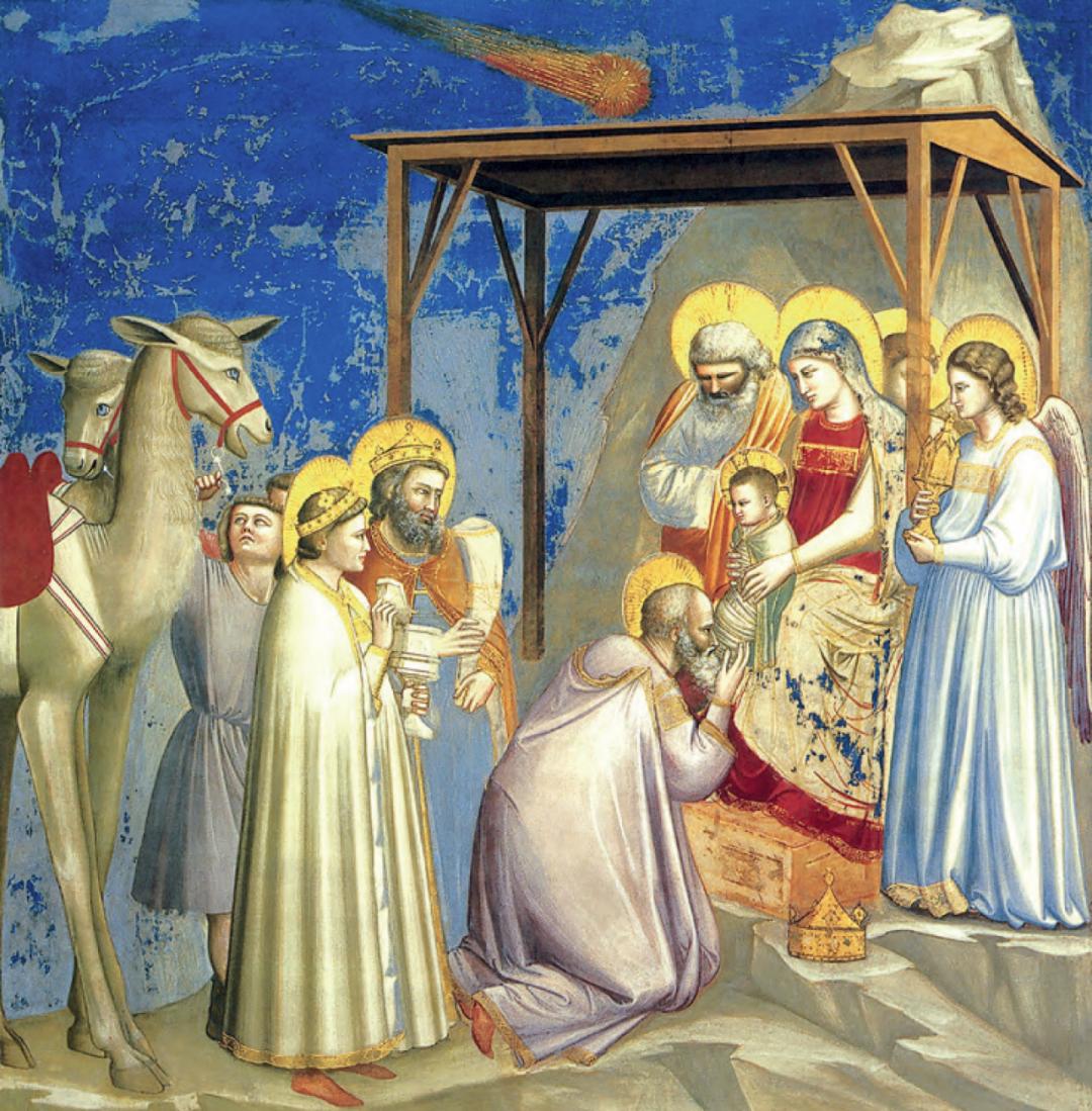 不懂彗星的画家不是一个合格的科学家