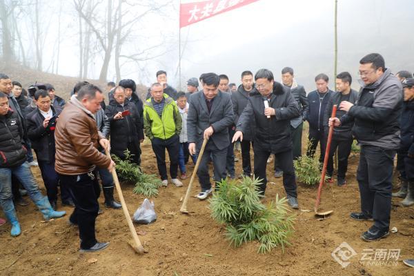 云南大关有哪些好玩的地方,云南大关旅游景点大全