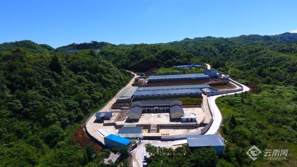 云南大关有哪些好玩的地方,云南大关旅游景点大全