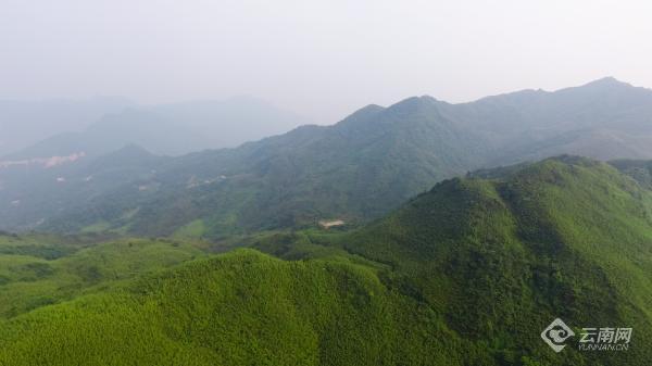 云南大关有哪些好玩的地方,云南大关旅游景点大全