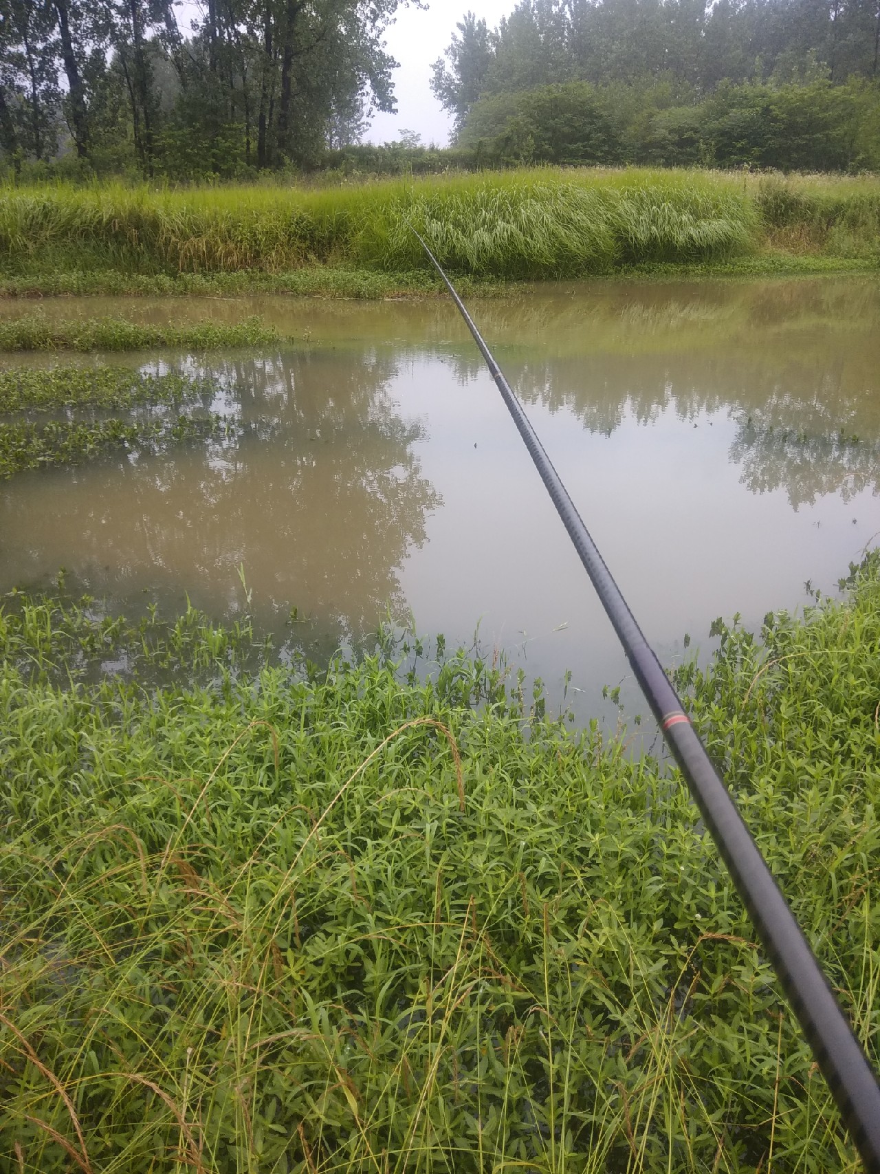 为什么涨水后钓鱼好钓,涨水之后鱼会变多吗