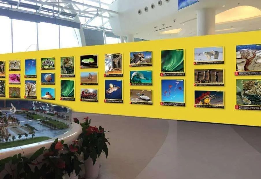 父爱无言，好礼有声！飞天茅台，麦贝拉，海底捞充值卡，泰山原浆啤酒......等你带回家