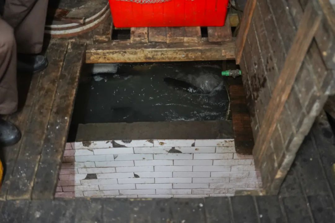 30年老店卤鸡,30年老字号温州八珍烤鸡