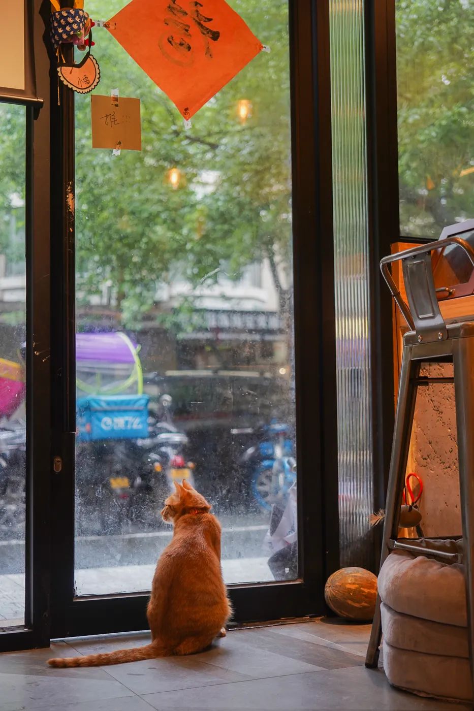 30年老店卤鸡,30年老字号温州八珍烤鸡