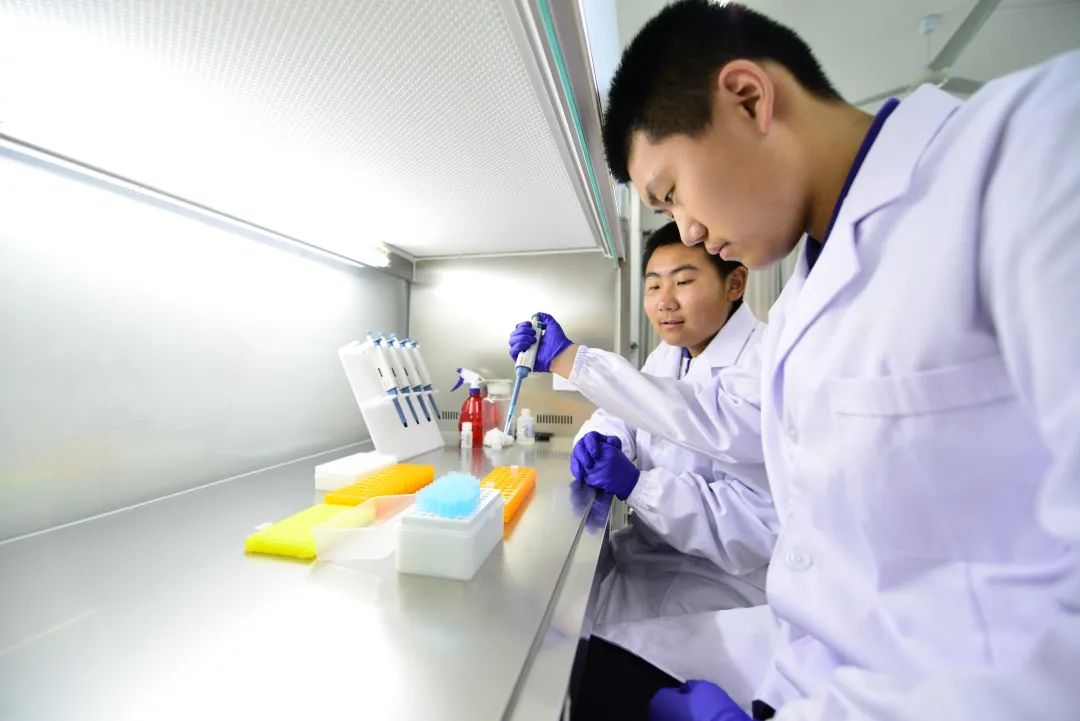 北京市第九中学,北京市第九中学高中部