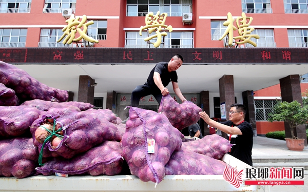 求助洋葱滞销种植户盼客商,洋葱滞销视频