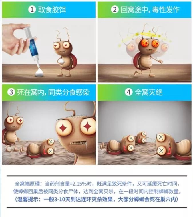 灭蟑螂的最好方法彻底消灭蟑螂,灭蟑螂的最好方法家里有很多蟑螂