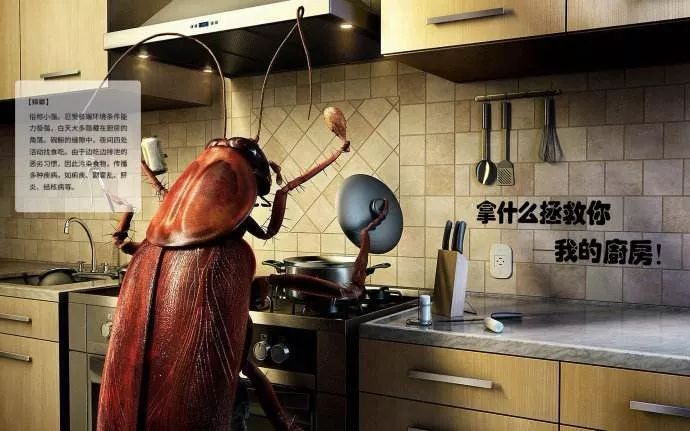 灭蟑螂的最好方法彻底消灭蟑螂,灭蟑螂的最好方法家里有很多蟑螂