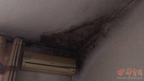 西安房顶漏水解决方法,西安高层房屋漏雨渗水解决方法