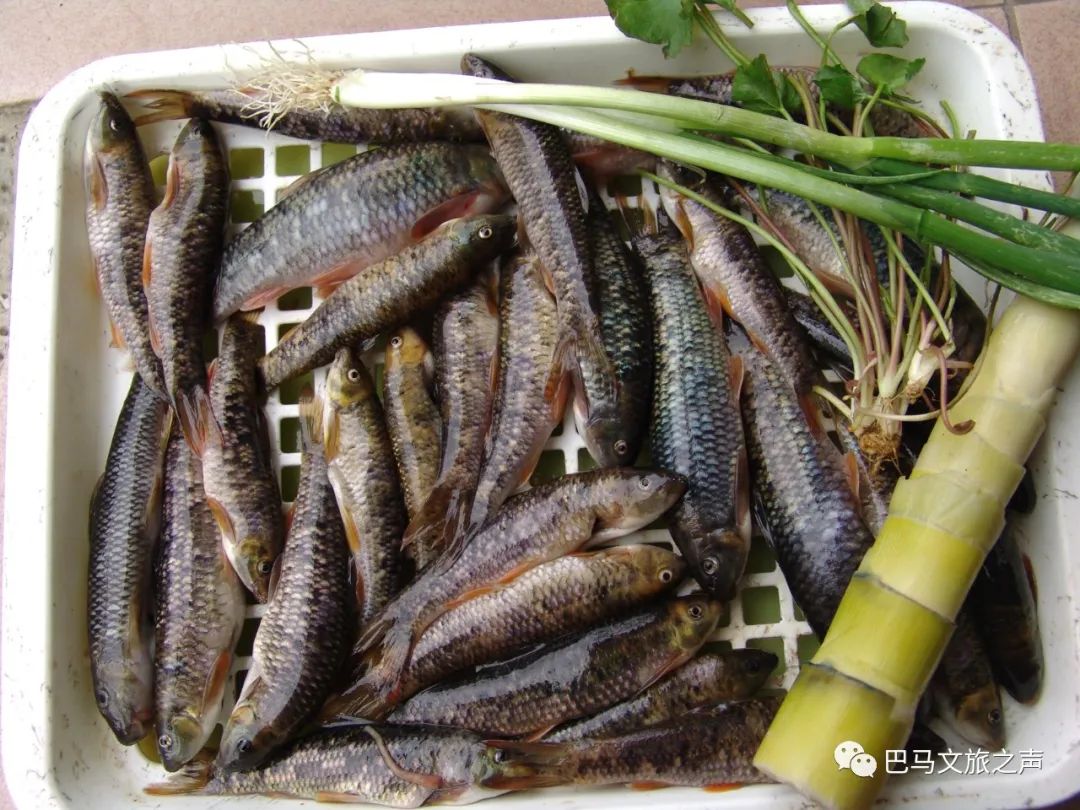 巴马长寿之乡有哪些特色美食,巴马十大必吃美食