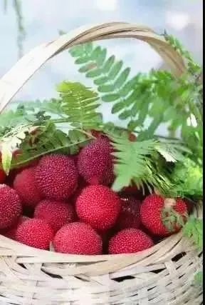 厉害了！把手机变成新农具，萧山所前女镇长带着村嫂直播带货！