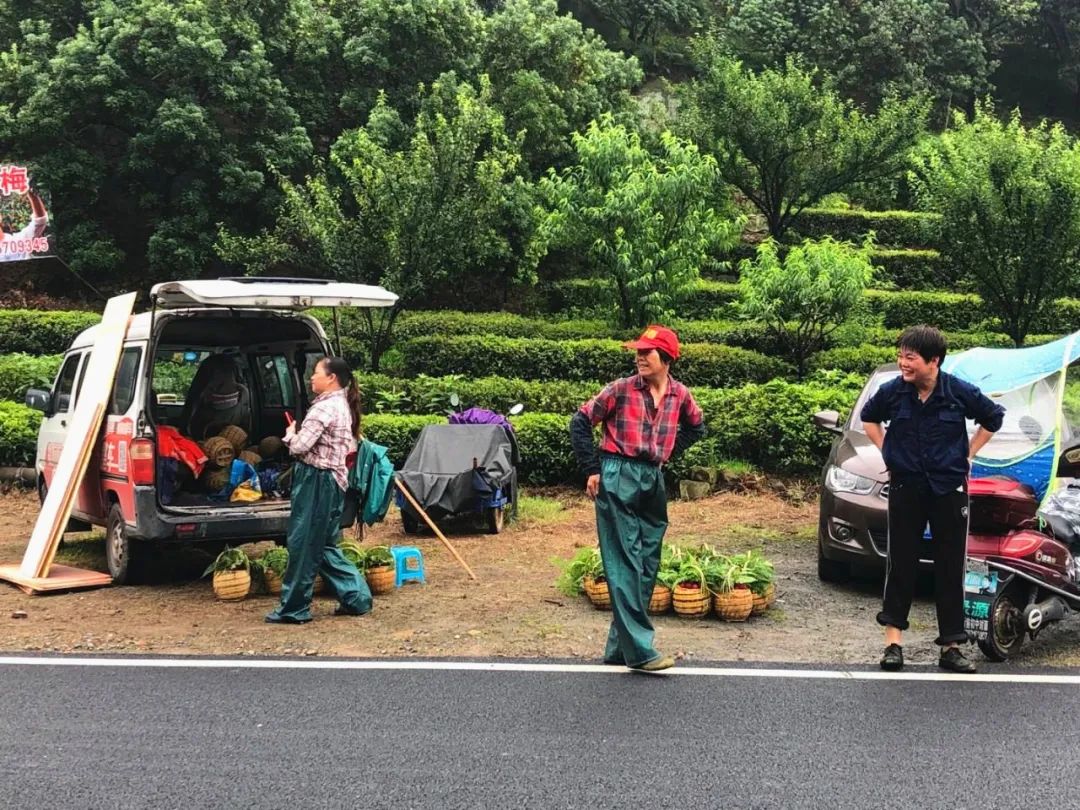 厉害了!把手机变成新农具,萧山所前女镇长带着村嫂直播带货!