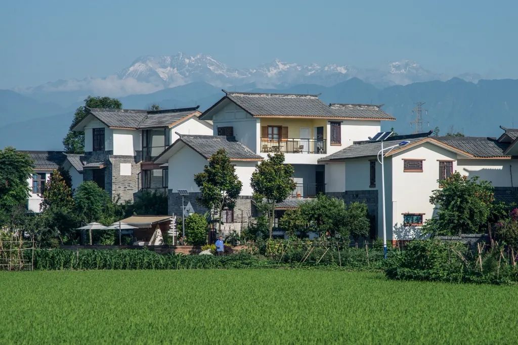 互联网助力乡村振兴项目,互联网带动农村创业