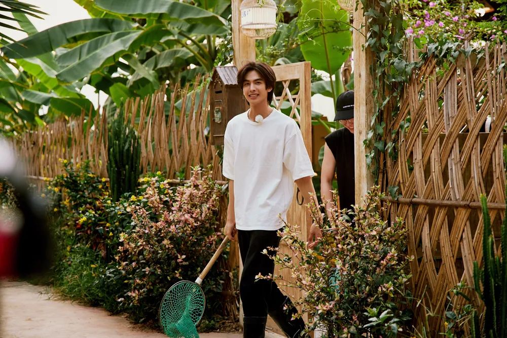 拥有风靡全网的“网绿”才是向往的生活