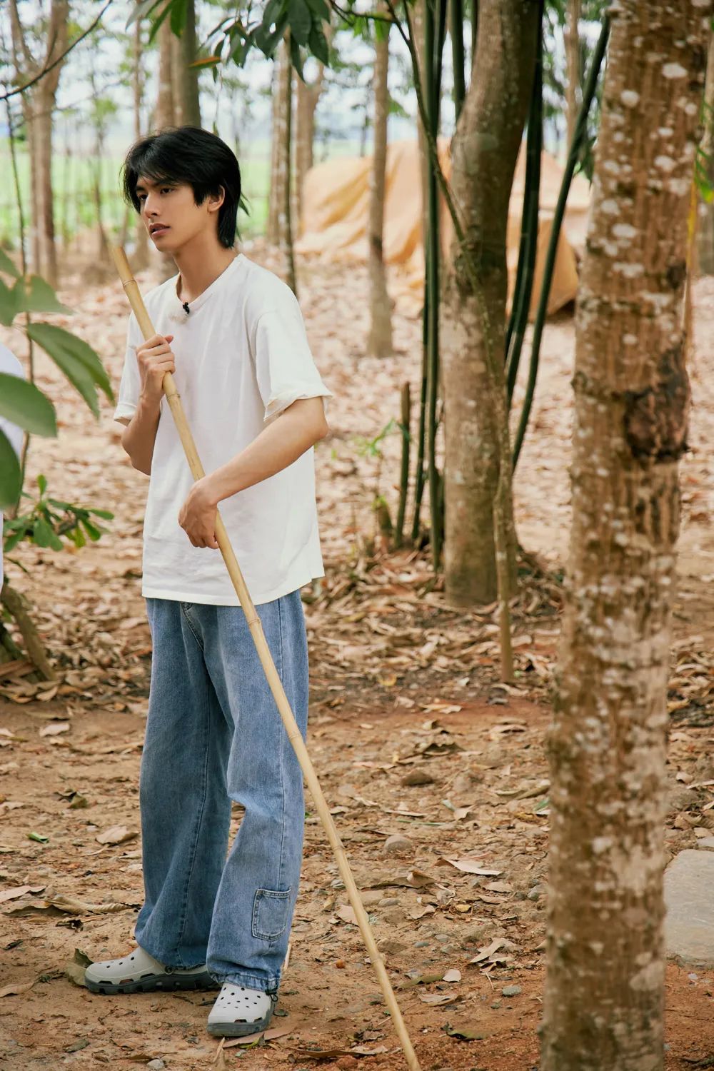 拥有风靡全网的“网绿”才是向往的生活