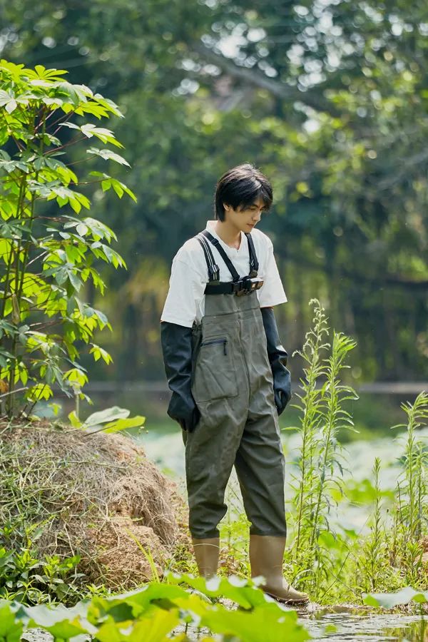 拥有风靡全网的“网绿”才是向往的生活