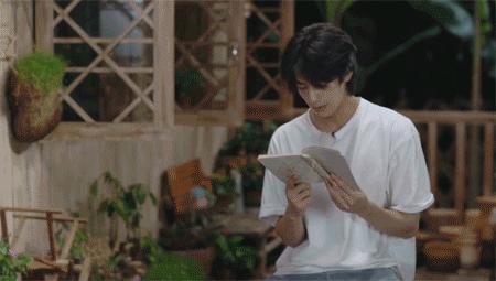 拥有风靡全网的“网绿”才是向往的生活