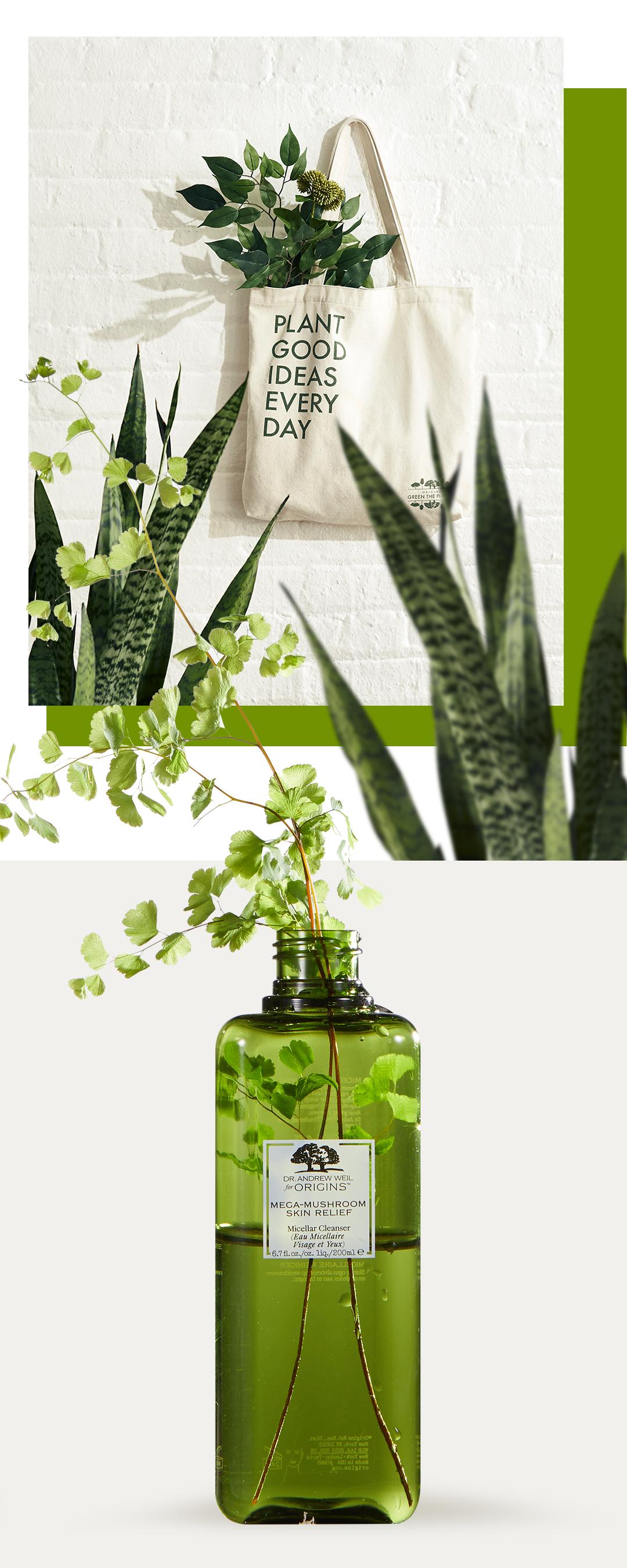 拥有风靡全网的“网绿”才是向往的生活