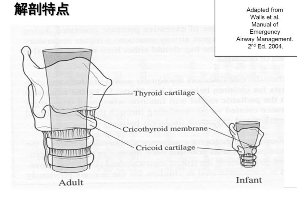气道异物患者麻醉,小儿气道异物麻醉