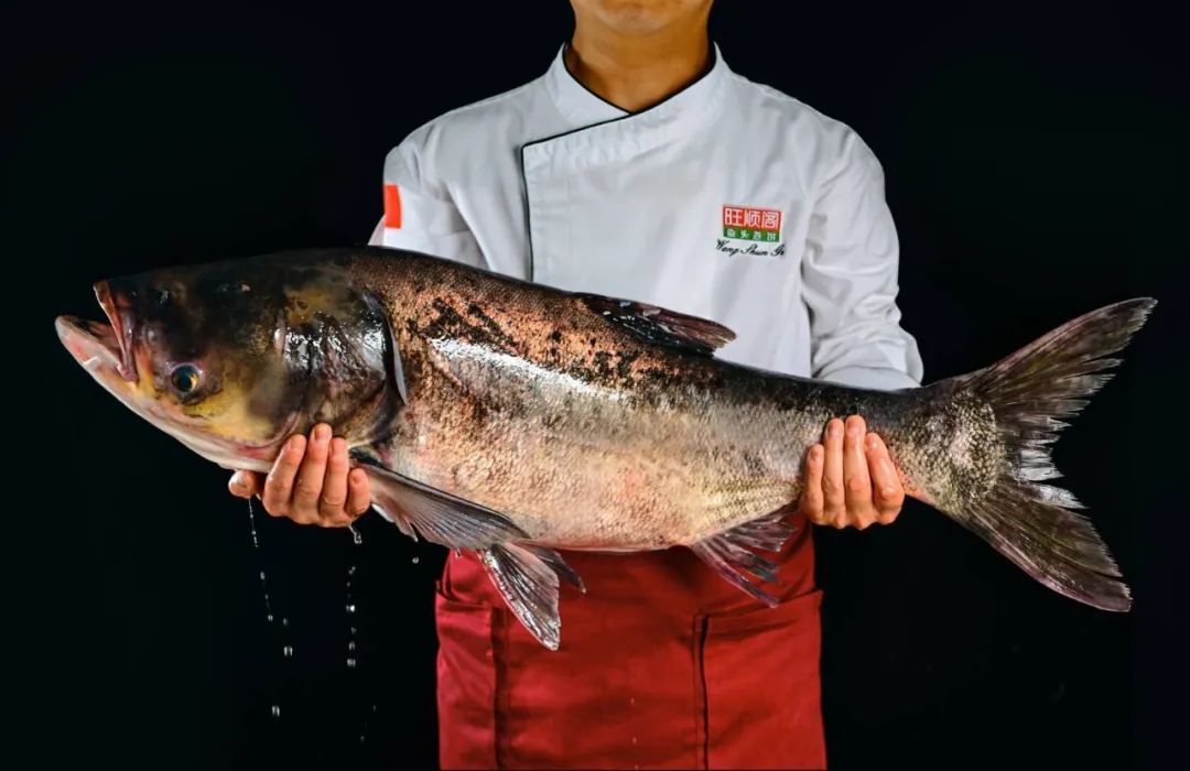 冰淇淋牛角、3.6折鱼头泡饼、川菜大师新菜单、超值早午餐、父亲节茶礼……本周的吃货愿望清单已更新|一周好吃