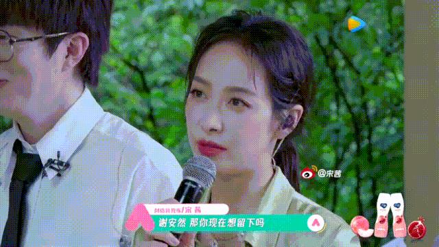 塑料姐妹花女团,女团pk塑料姐妹团