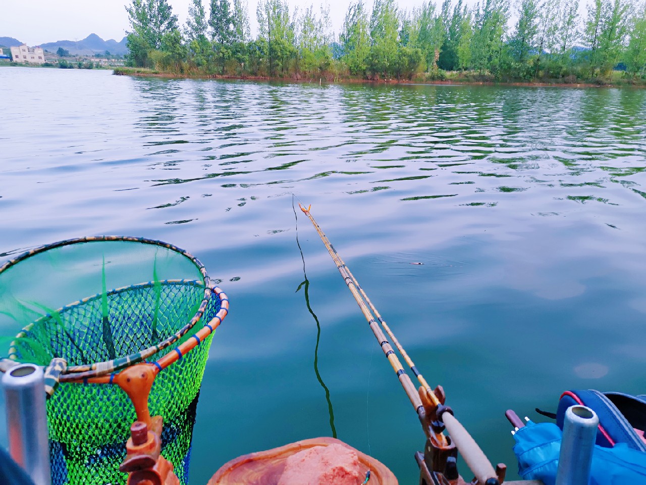多日未冒泡，竟然掉了一个粉丝，打击来的突然