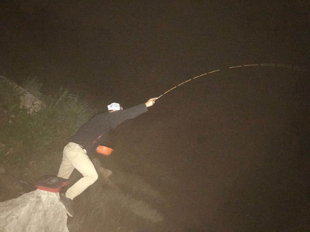 多日未冒泡，竟然掉了一个粉丝，打击来的突然