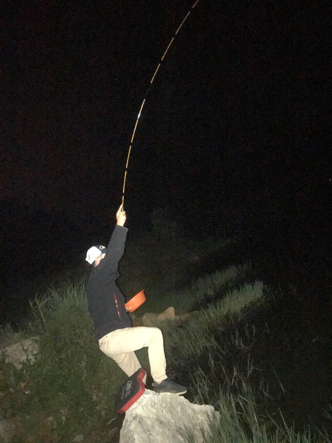 多日未冒泡，竟然掉了一个粉丝，打击来的突然