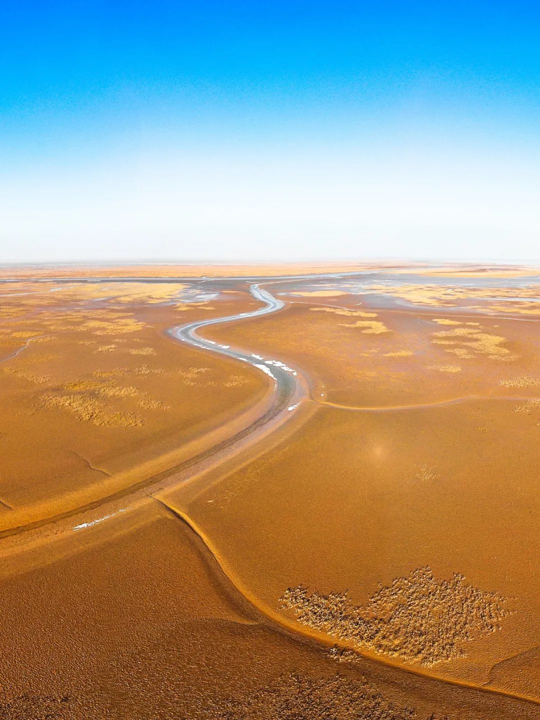 黄河会填平渤海吗,黄河会不会把渤海填平
