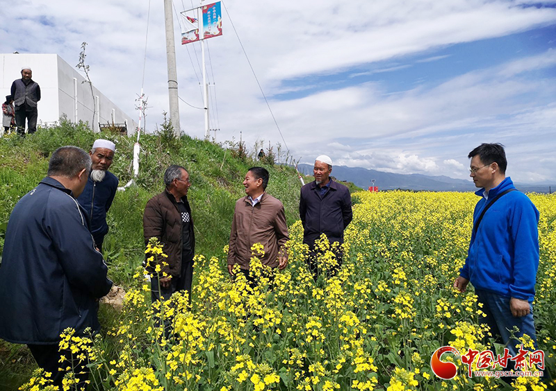 临夏回族自治州拓展培训基地,临夏县教资培训