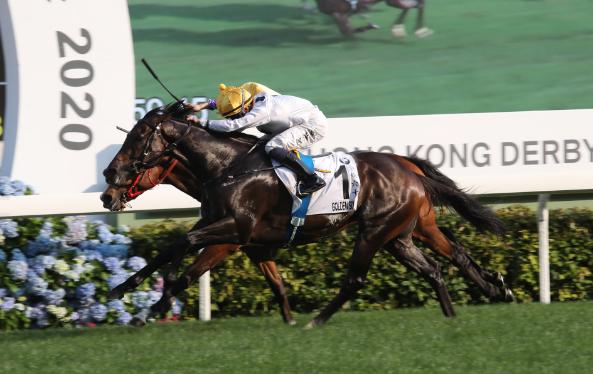 香港马会为何会逆市上调新马季奖金至14亿港元