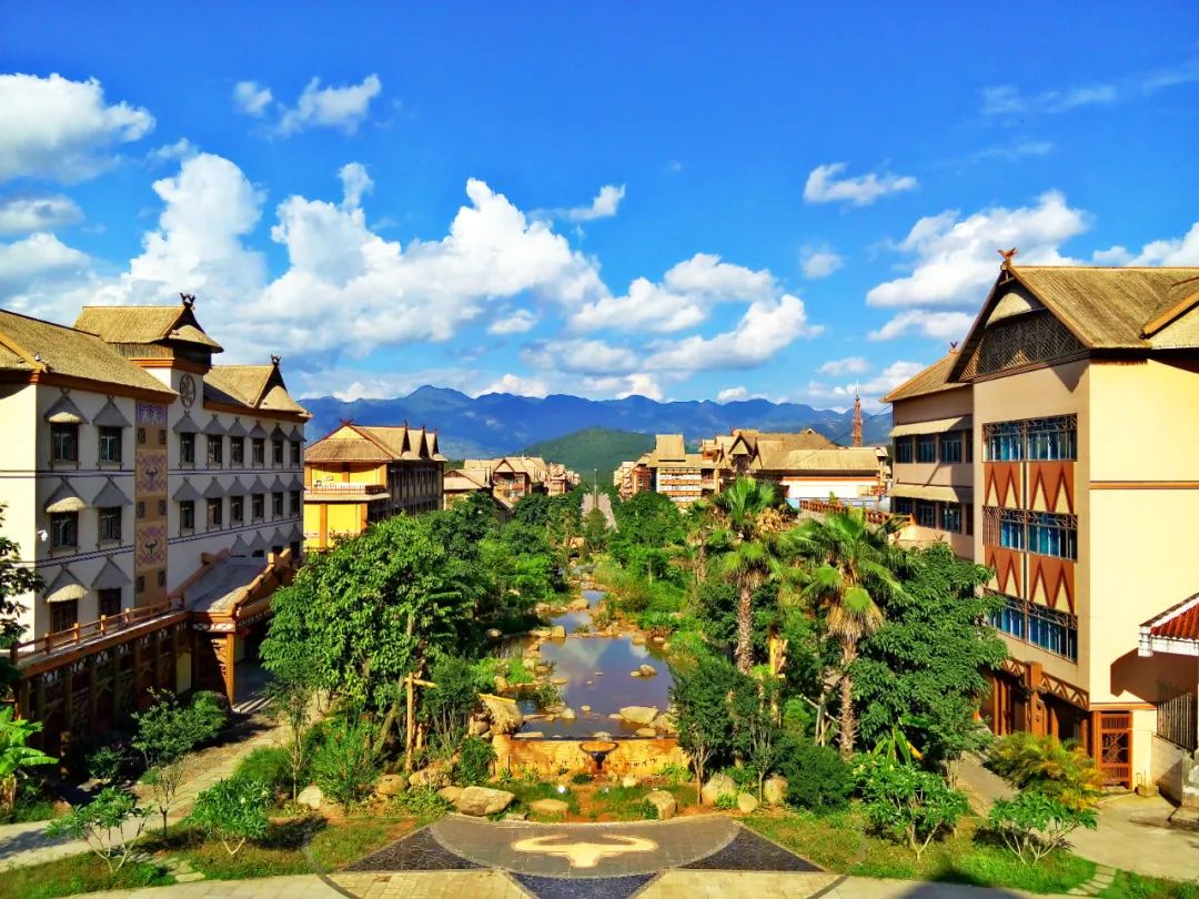 悦读——佤山的鸟儿：黑头公