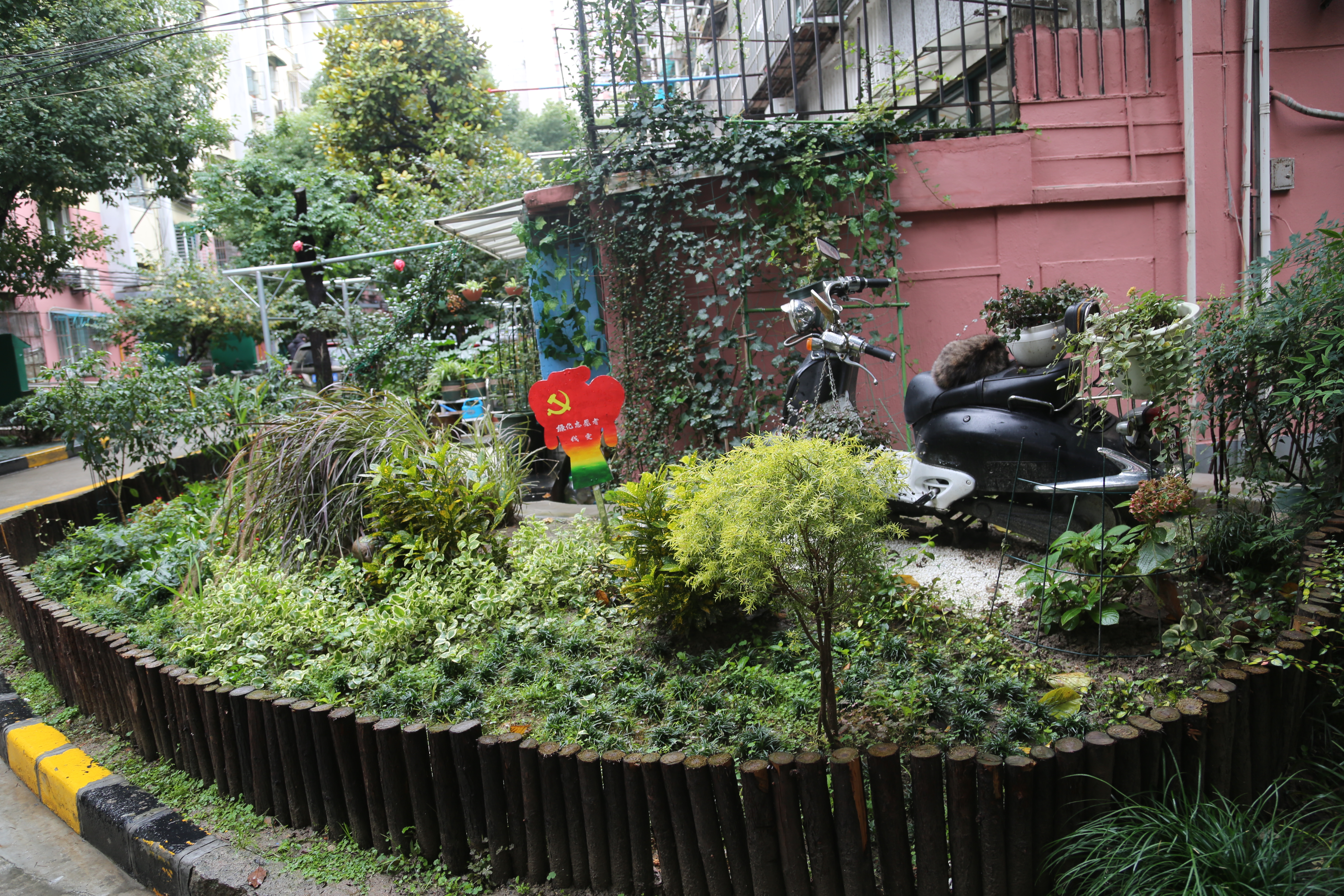 文明虹口｜曲阳路街道“全岗通”3.0，实现管理向治理的转变