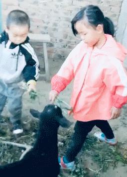 看完李佳琦父亲才知道，90%的人早已失去「成为李佳琦」的机会