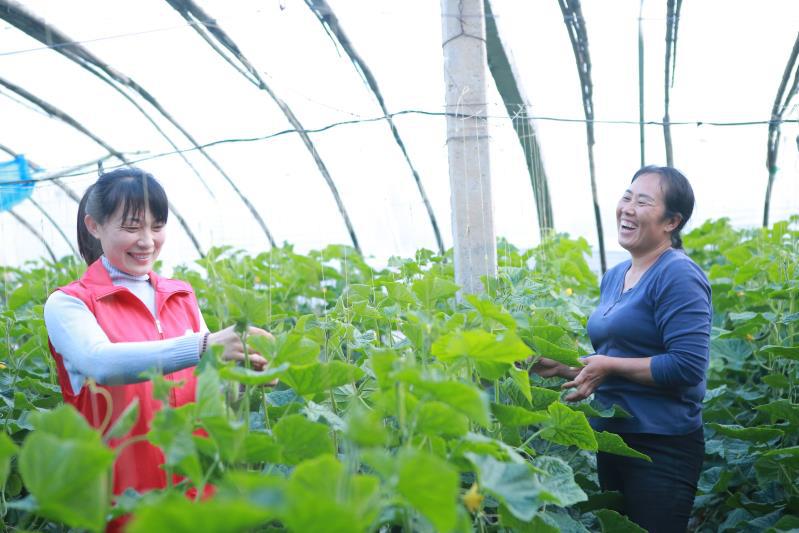 优秀青年志愿者个人抗疫事迹材料,沂蒙志愿者抗击疫情