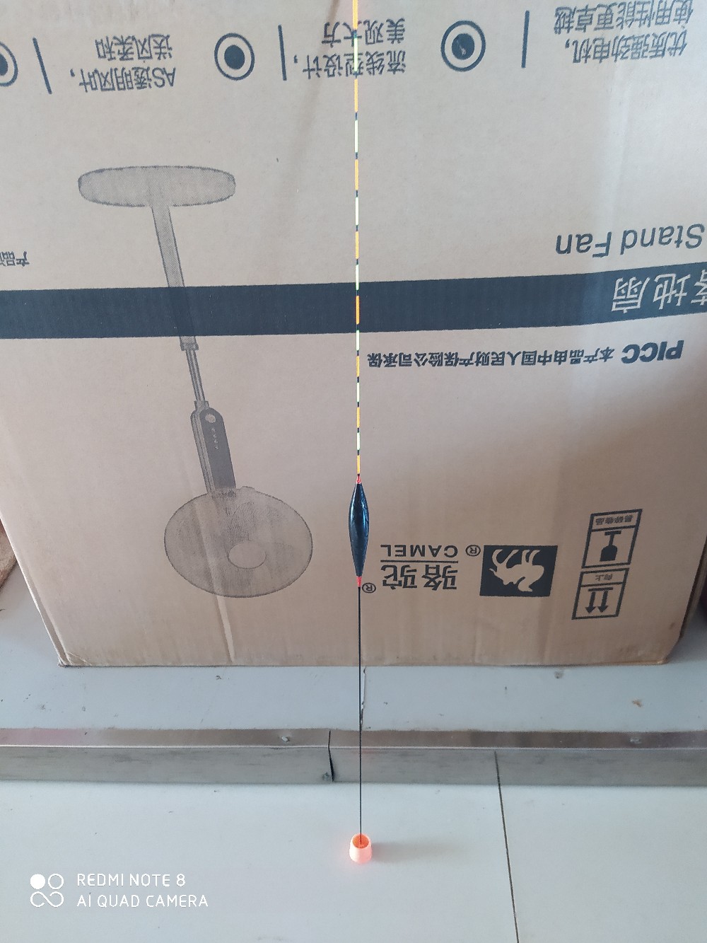 灏忛洦婊戞粦鏉跨殑瑙嗛,灏忛洦娲楅瀷鐞冮瀷淇