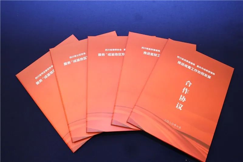 互动升级合作升温！刘志诚带队赴重庆学习考察