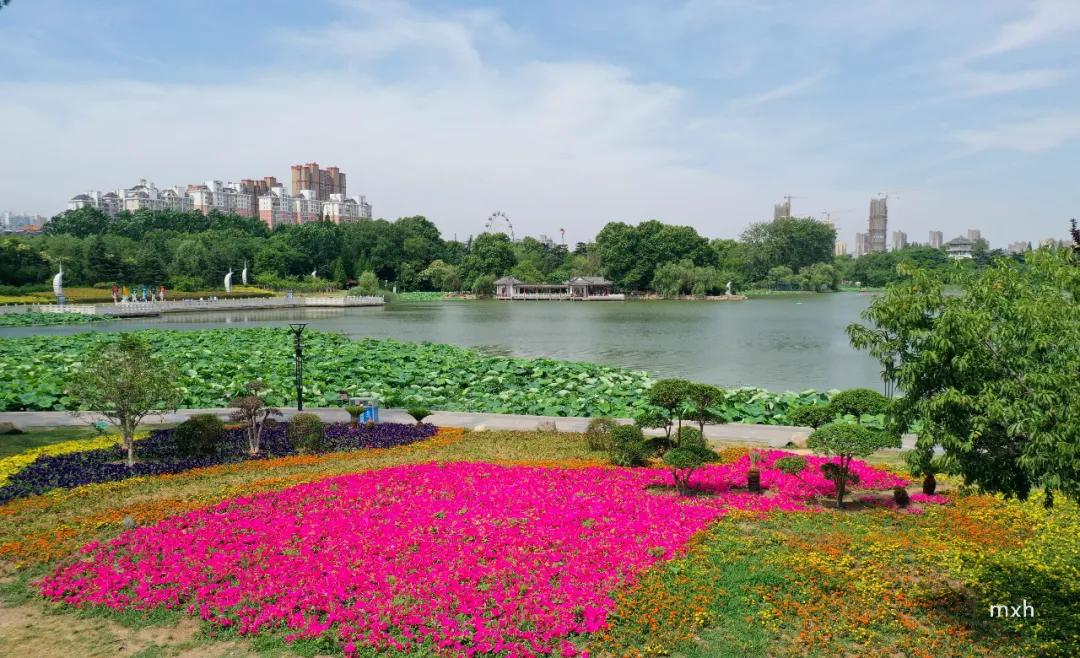 我滴任务完成啦表情包,我滴孩嘞是哪个地方的方言