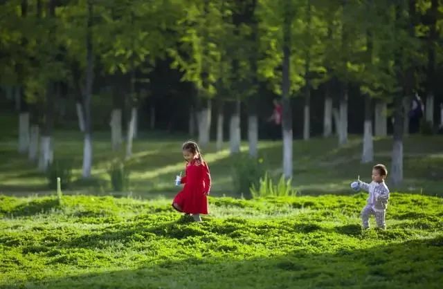 我滴任务完成啦表情包,我滴孩嘞是哪个地方的方言