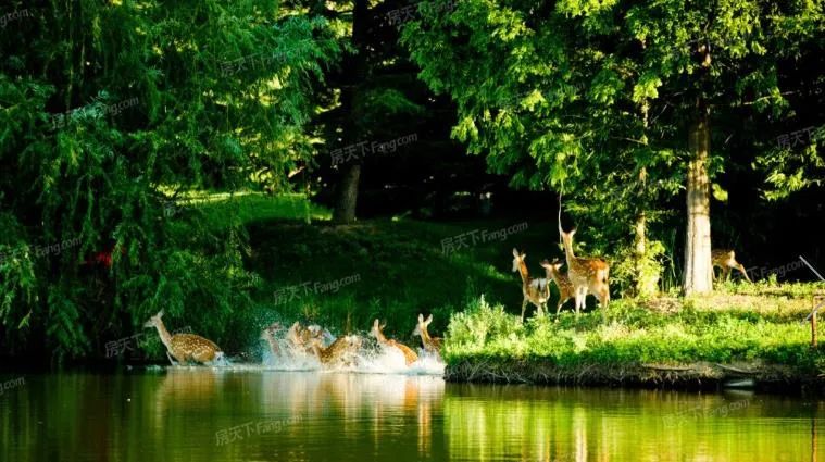 2022年全国十大高端品质豪宅,北京年度热门豪宅排行榜2017