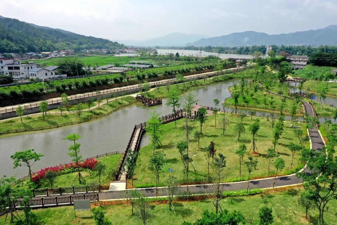 长寿村的秘密原视频,世界长寿乡梅州市蕉岭县